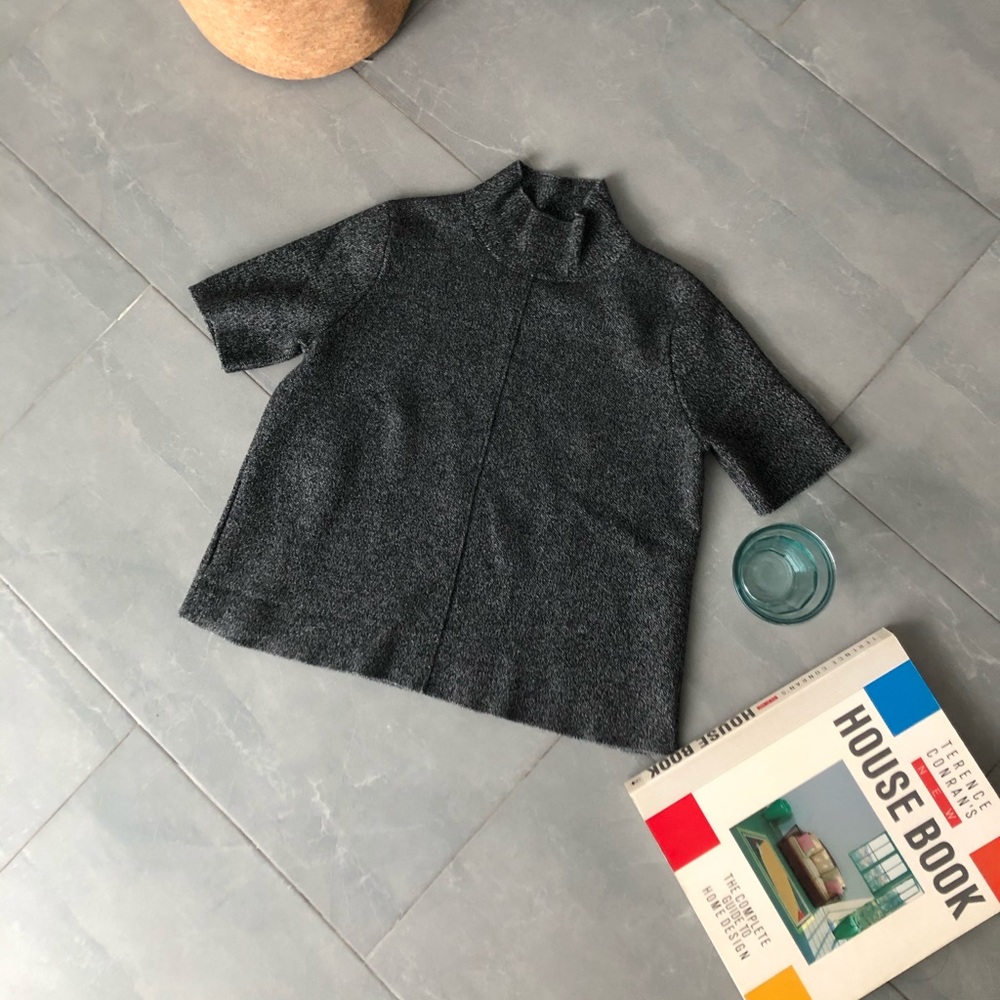 Crop High Neck Zara Knit